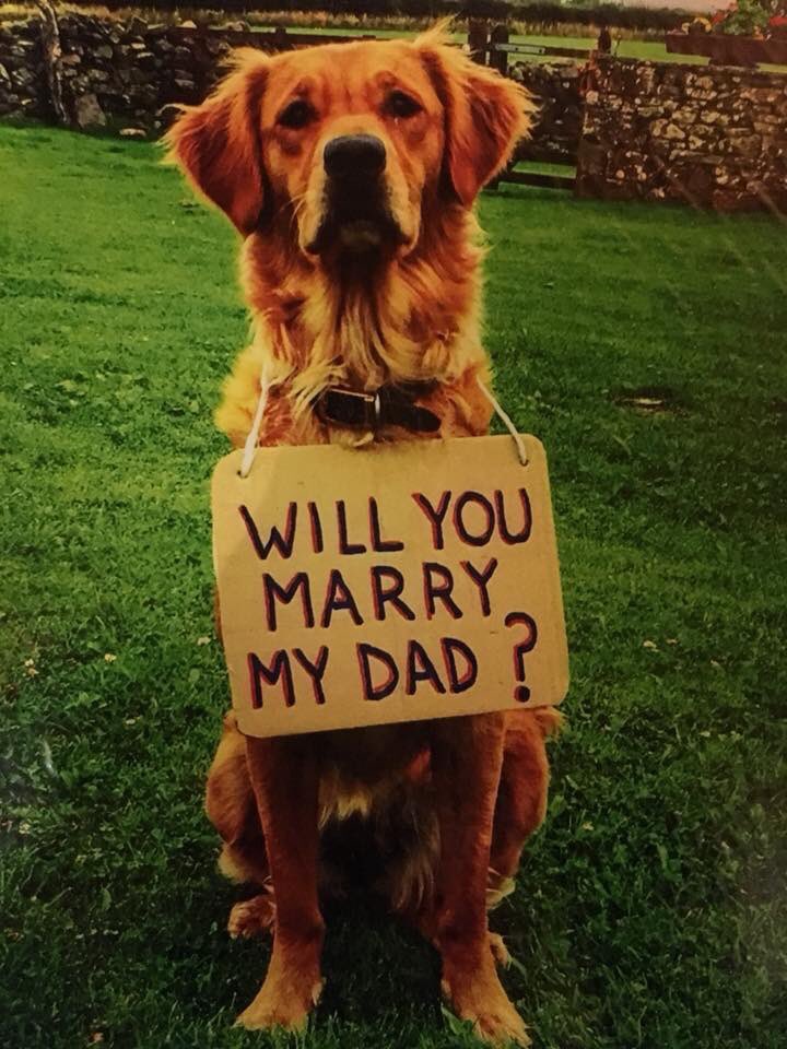 hollyyjacksonn's tweet image. And if I wasn’t already convinced by his proposal... 

How could I ever say no this ❤️❤️❤️

#goldenretriever #proposal
