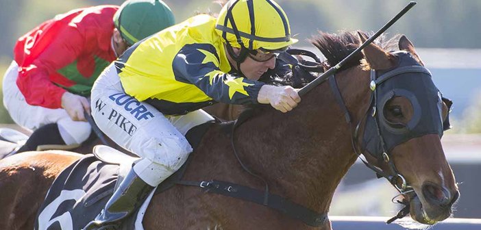 ozrace's tweet image. “He’s just in a great vein of form..."

Four In A Row For Battle Torque

READ MORE: ozrace.com.au/four-in-a-row-…
@timw1995 @OfficialRWWA #BattleTorque #WARacing