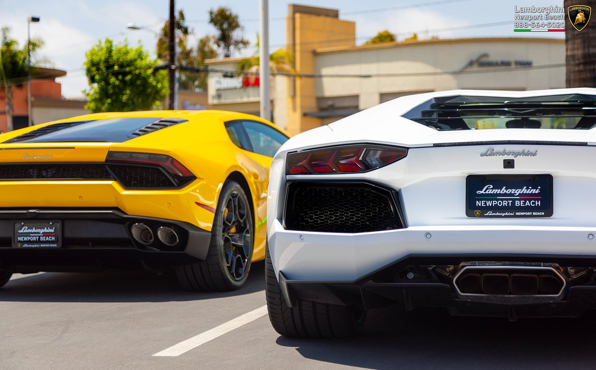 Lamborghini_NB's tweet photo. V10 and V12 bulls side by side. https://t.co/uUIwACGcFB