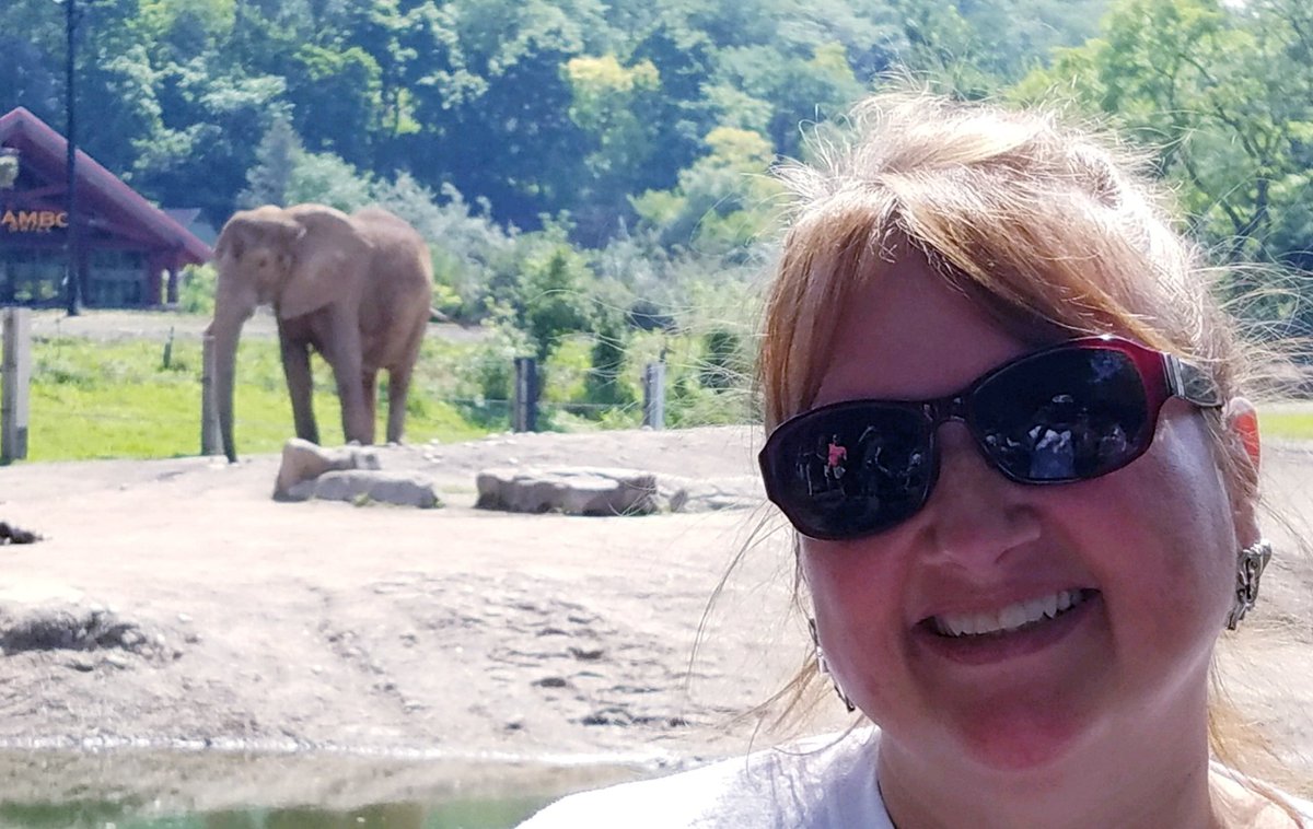 amyvw17's tweet photo. @PghZoo #MarsBank #WorldElephantDay #workperks https://t.co/dlbSeTbvY2