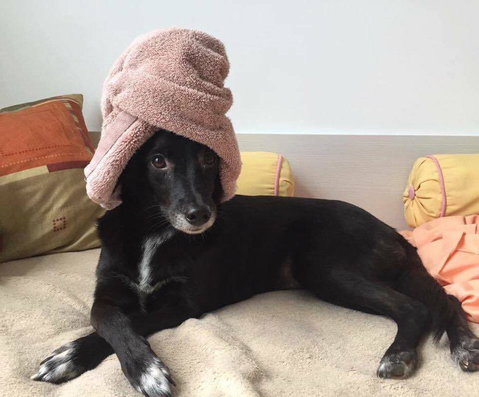 CatioroReflexiv's tweet photo. "a gente precisa muito parar de romantizar a mulher perfeita. Essa sou eu após o banho, uso toalha na cabeça SIM! Fico caçando defeitos na cara SIM! Uso a roupa que der na telha SIM! E tá tudo bem, cada uma é perfeita do seu jeito!" https://t.co/qQfd0yGxd9