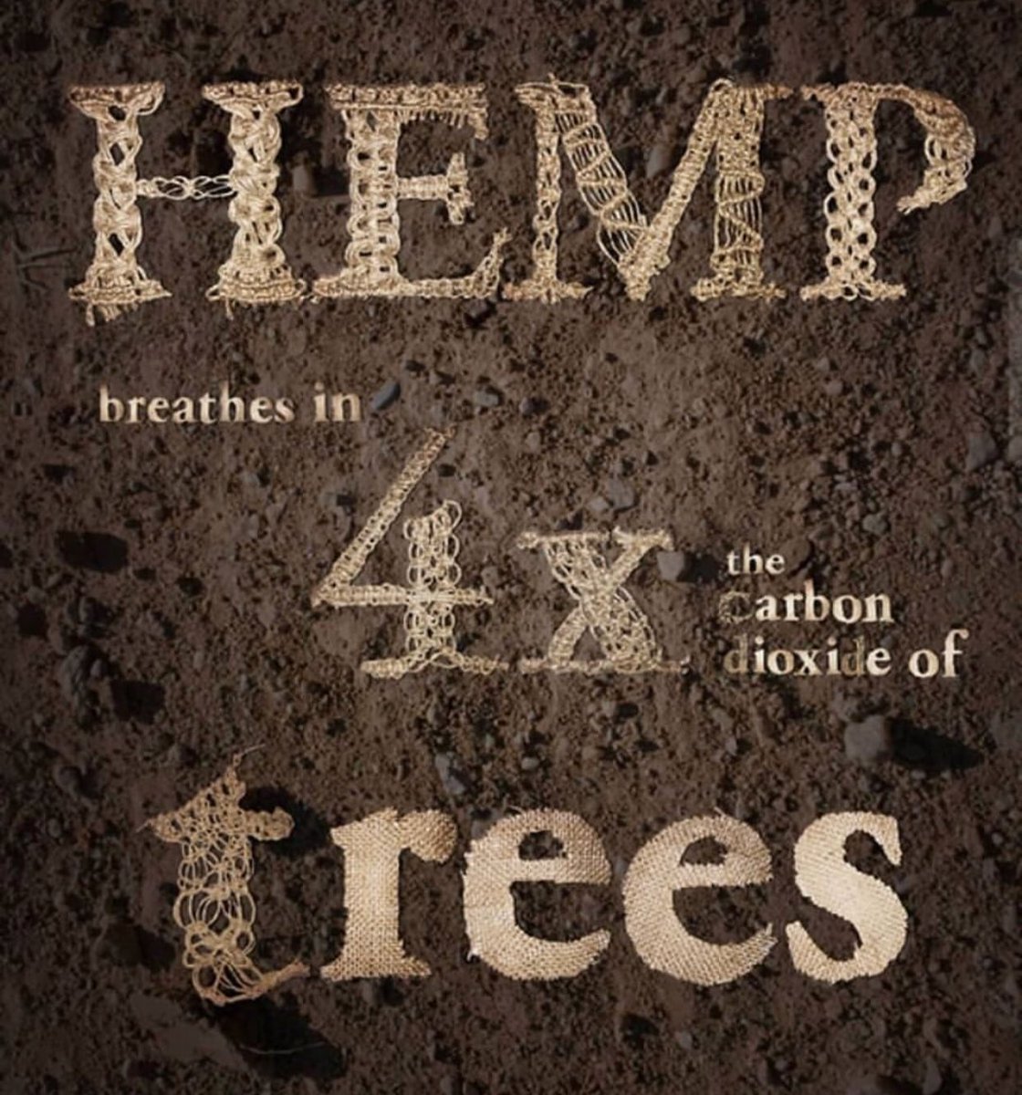 Hemp vs Trees Just more proof that hemp is better that trees. #CbdDrip #hemp #hempvstrees #hempfacts