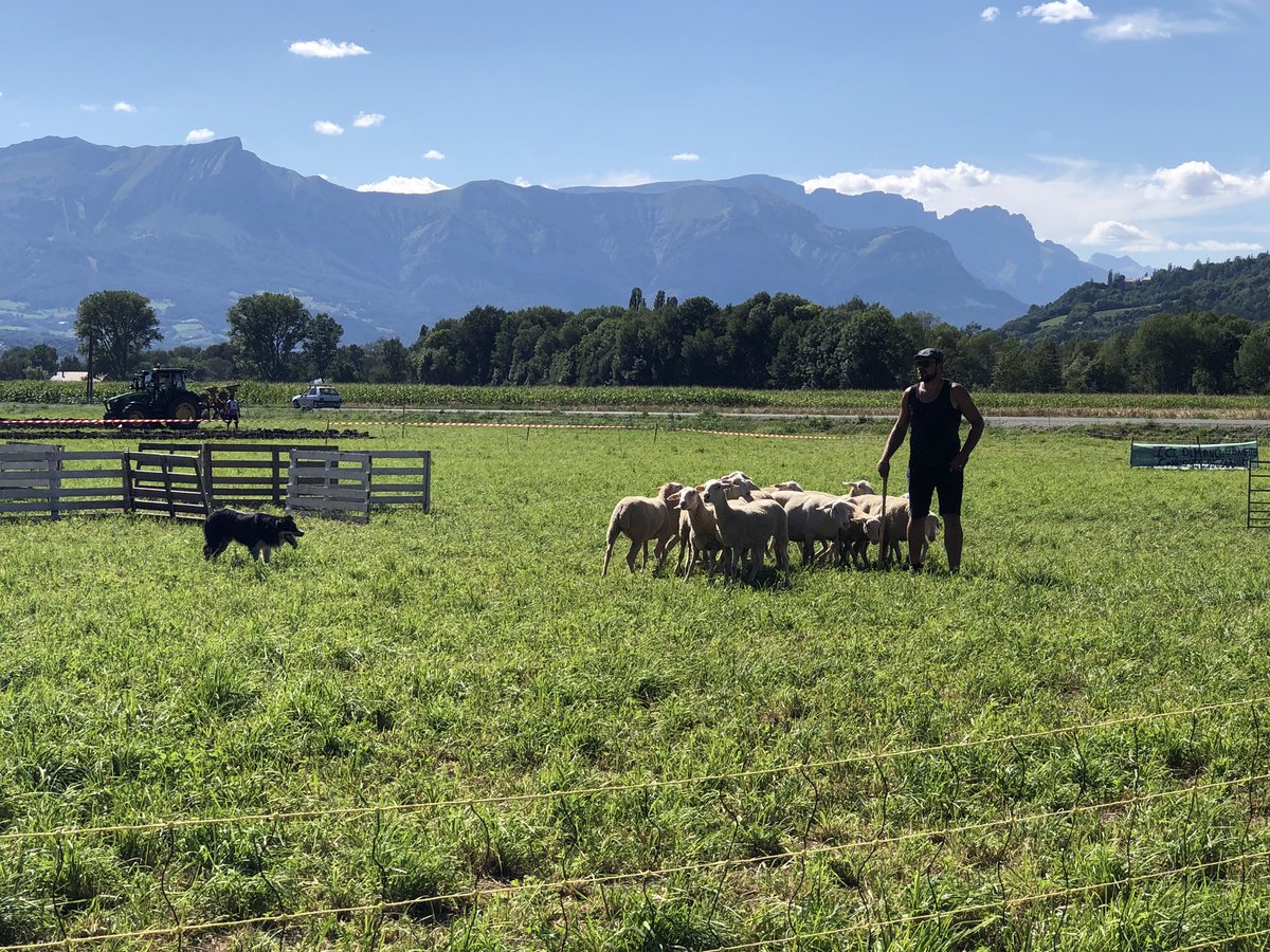#HautesAlpes #Chabottes Belle journée pour le concours de labours départemental. Bravo aux 18 équipes qui ont participé ! Félicitations aux JA ainsi qu’aux bénévoles pour l’organisation de cette journée