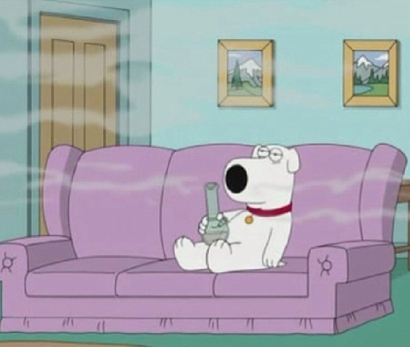 SayNoToButane's tweet photo. Weekend Vibes 💨
.
.
.
.
#FamilyGuy #Weekend #StonerBrian #Stonerlife #HighSociety #Weed #Weed420 #420Life #Plazmatic https://t.co/f0FQCBoEkJ