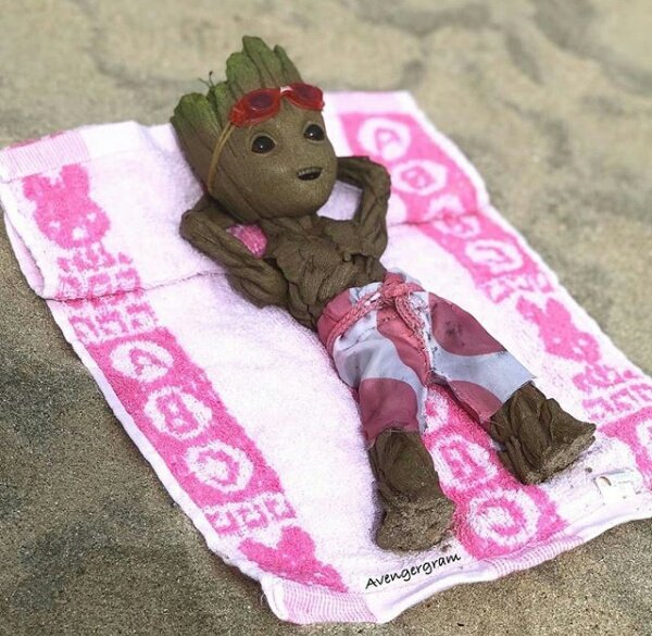 mandIorian's tweet photo. caso vc esteja tendo um dia ruim, olha pra essas fotos do baby groot NA PRAIA 💞💞💞 https://t.co/li3ppi0Eso