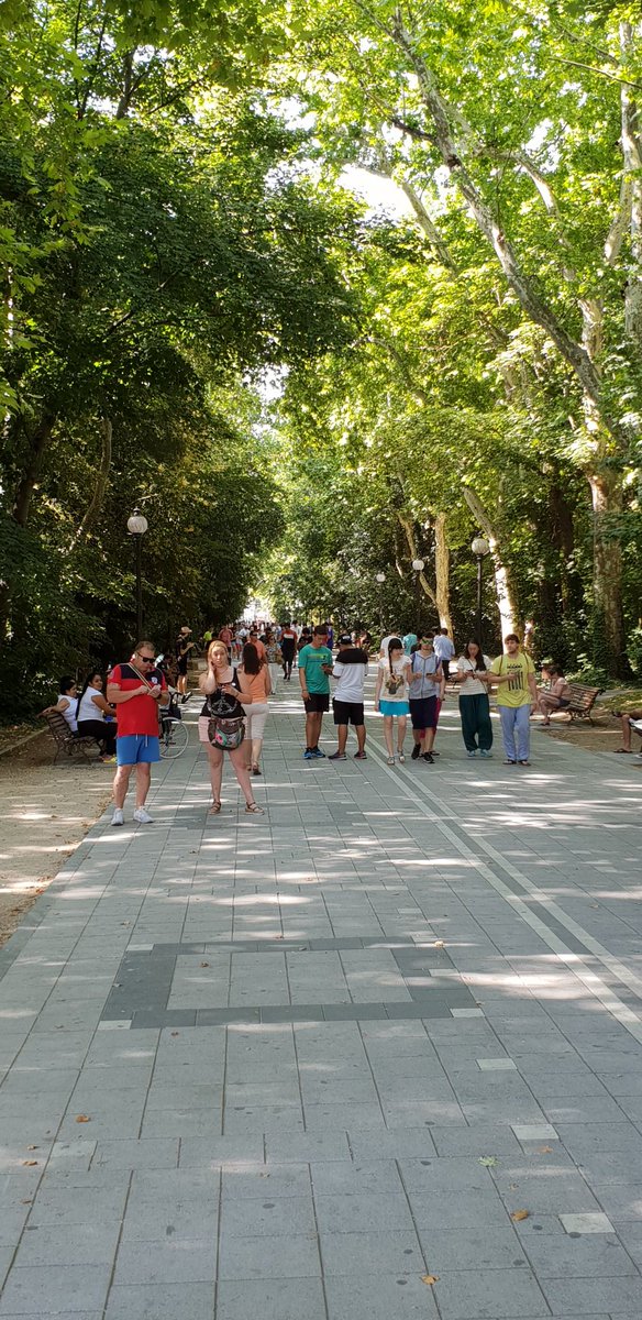 PokegoSolidario's tweet photo. #PokemonGOCommunityDay #Valladolid Hoy hemos disfrutado de un fantástico 2°dia de Eevee!! Gracias a todos y no os escondais de las fotos!!! Hasta hubo una raid con 73 personas https://t.co/PfZbYaDaZa