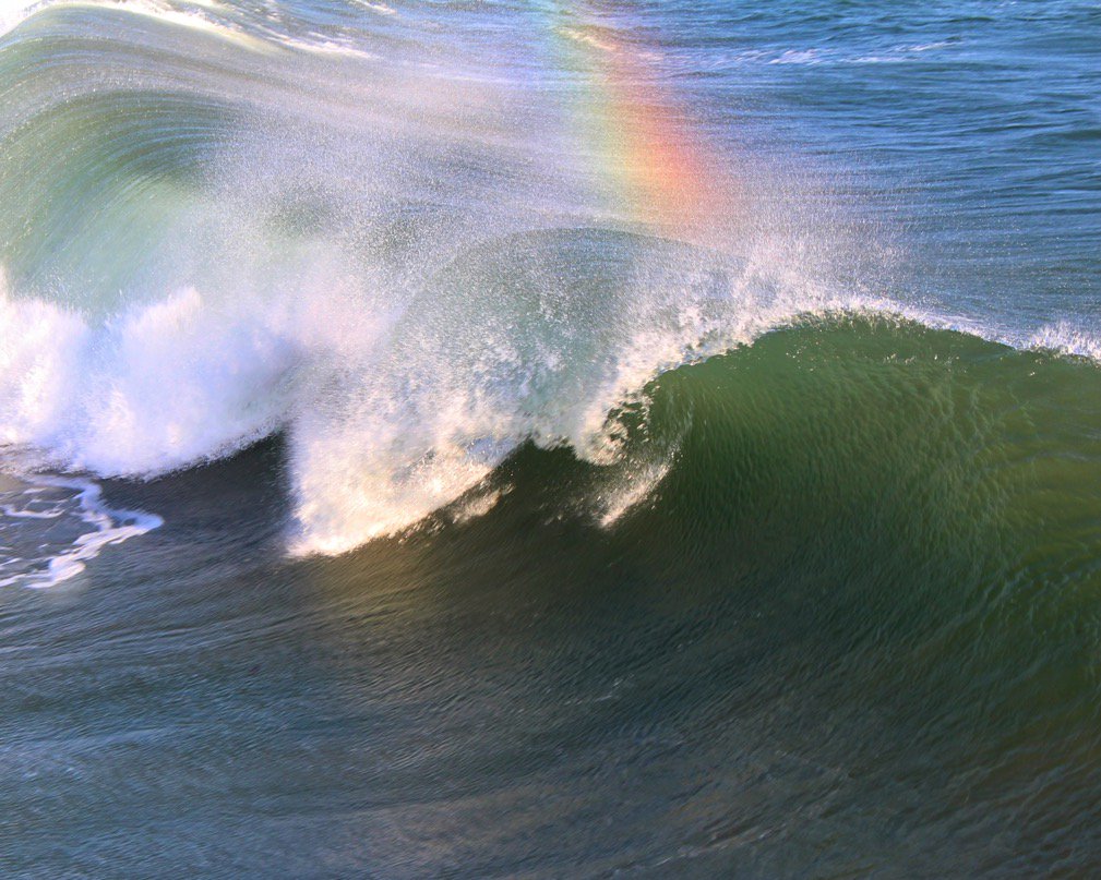 kellysaint's tweet image. 