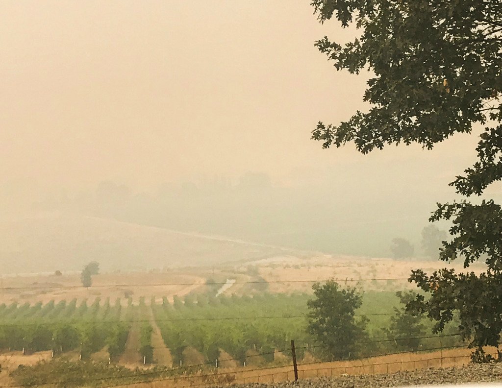 Italy02's tweet image. Summer’s End serenellaoregon.wordpress.com/2018/08/12/sum…