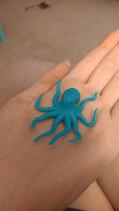 I found this cute octopus in my house and fell in love haha. It's so little! https://t.co/uwhfLCDXLY<a href="/tag/manyvids"class="tags"><span>#manyvids</span></a>