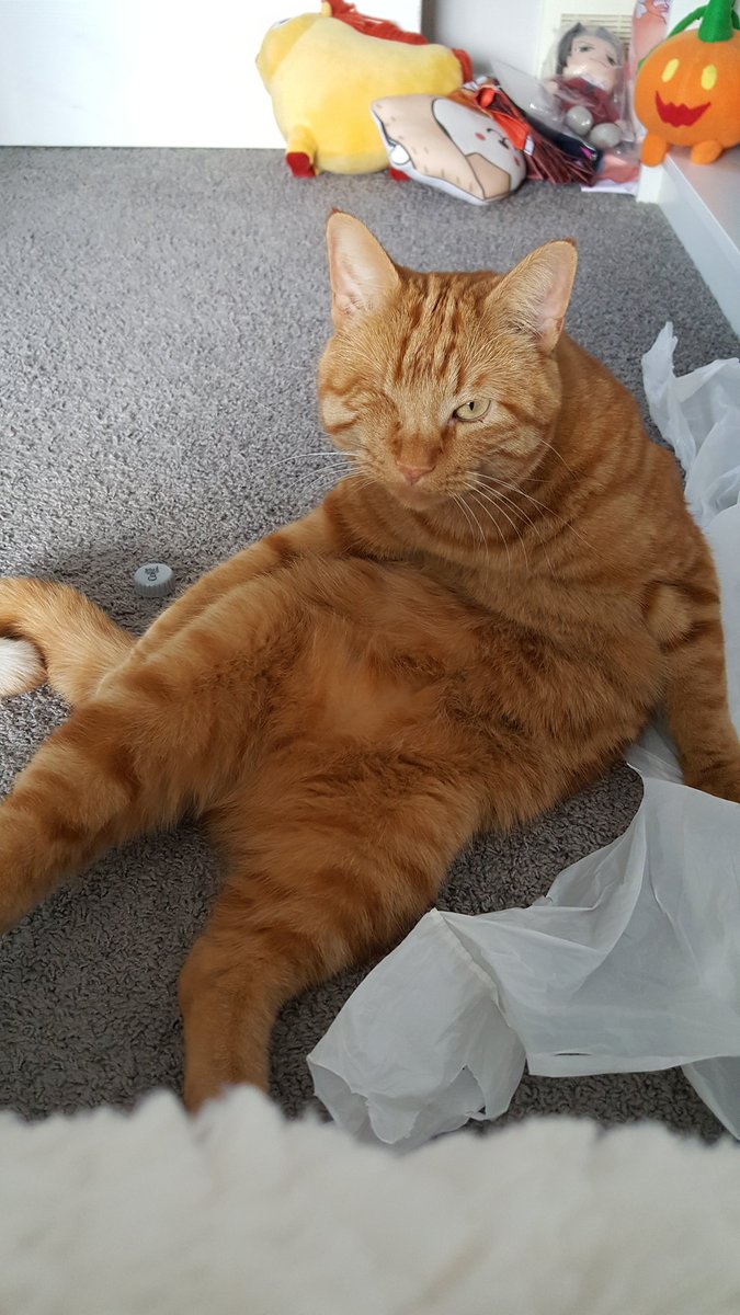 The Aquabats on Twitter "The Cat Who Throws Trash! Kitty Litter!…