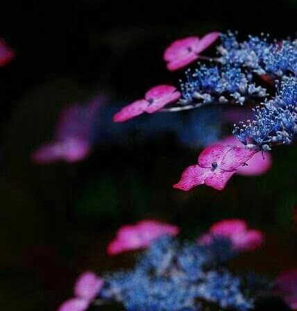 WarrenNeffJr's tweet image. Celebrate the simple fact that God loves us!