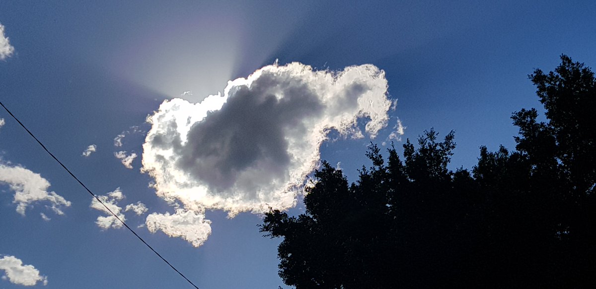 CherScheff's tweet image. Sunday's sun blocked by a cloud takes the form of a turtle #WeekendSun #Turtlecloud 🐢