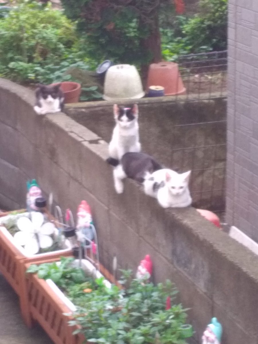 月曜から早起き