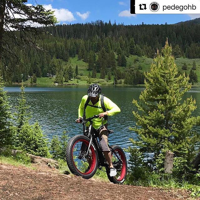 PedegoQB's tweet photo. #these bikes are great for off-roading!  Come and test ride for free anytime! #

Repost @pedegohb with @get_repost
・・・
Weekend at the office 🏔🏔🏔🏔 #Repost @spadydavid 
Fat tires #pedego #bike #montana #offroad #pedegoelectricbike #hellofun #electr… https://t.co/XirqewopxZ https://t.co/KB7sQJNGL3