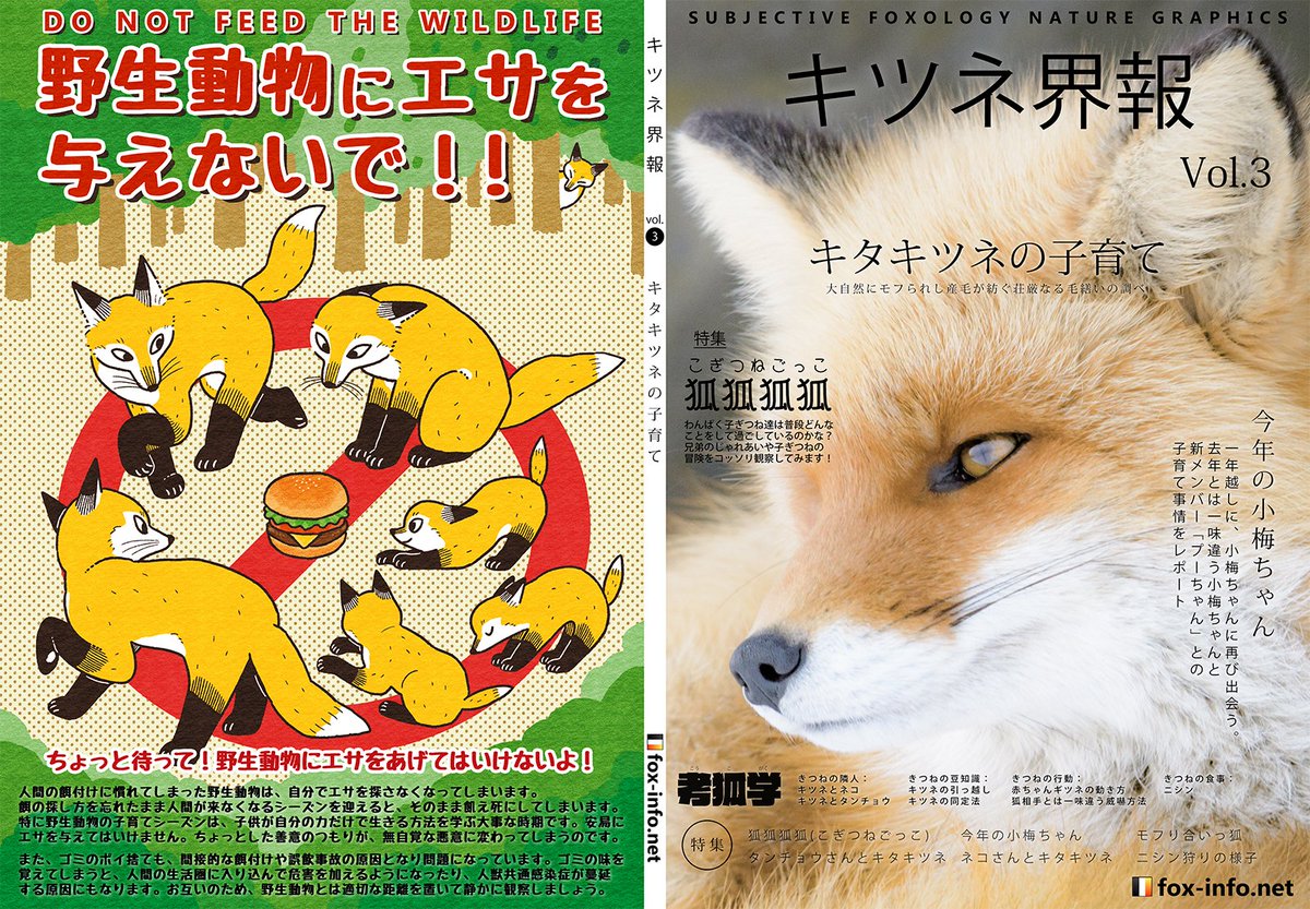 ট ইট র キツネ写真館 キツネ飼養中 キツネ界報vol 3の通販開始です 生足魅惑のキタキツネで加速する常夏のモフみ 今回の裏表紙はtama様 Tama 712 に描いていただきました キツネ写真館 T Co Iay69utpgh メロンブックス T Co