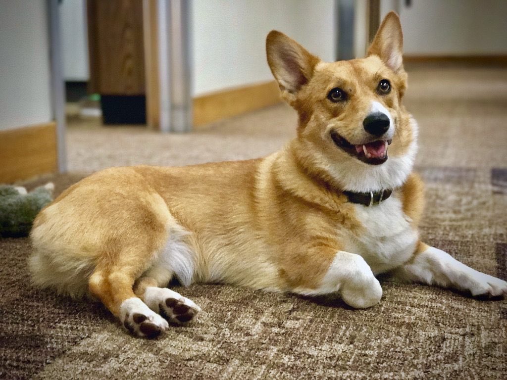 You Just Realized... tweet media