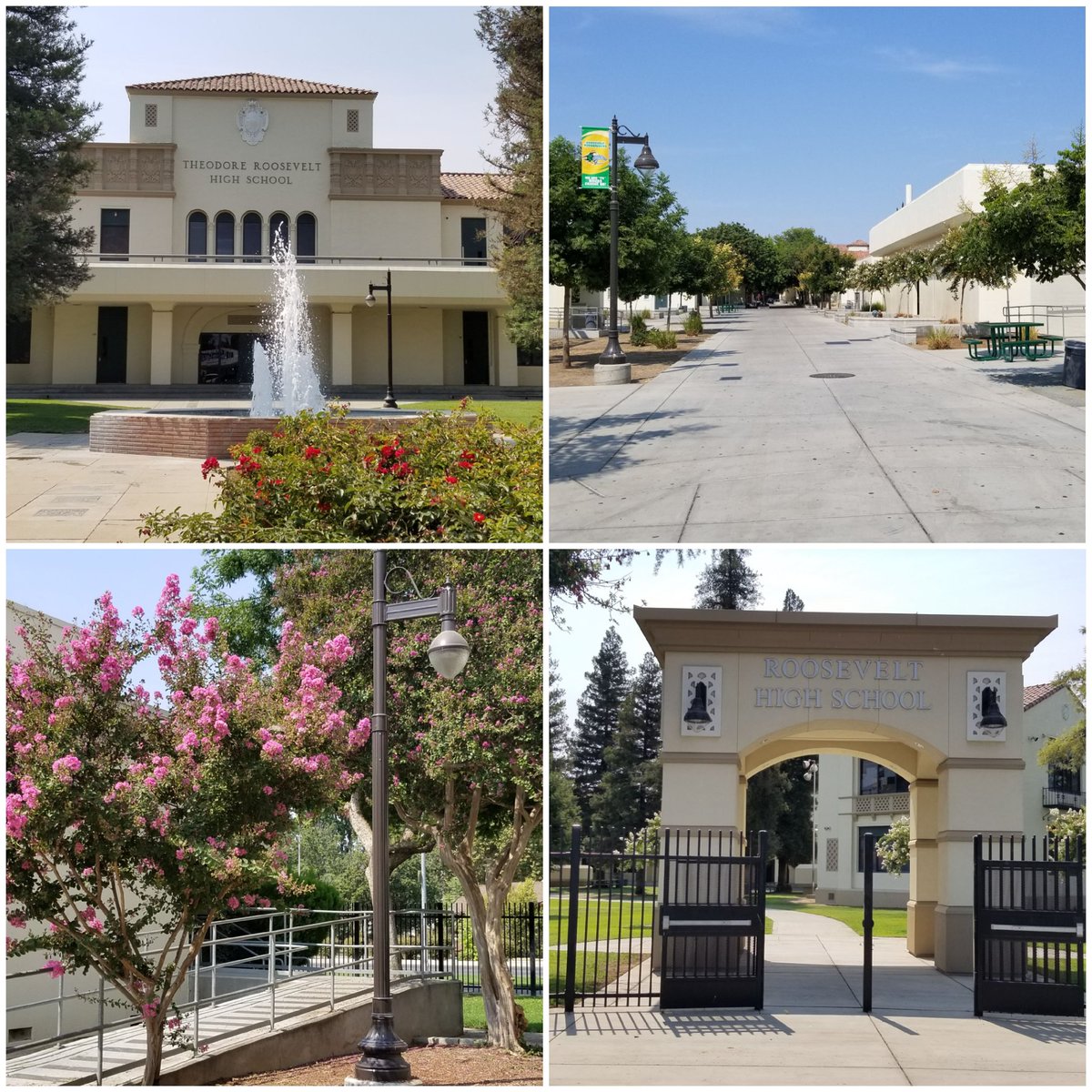 Michael Allen tweet media