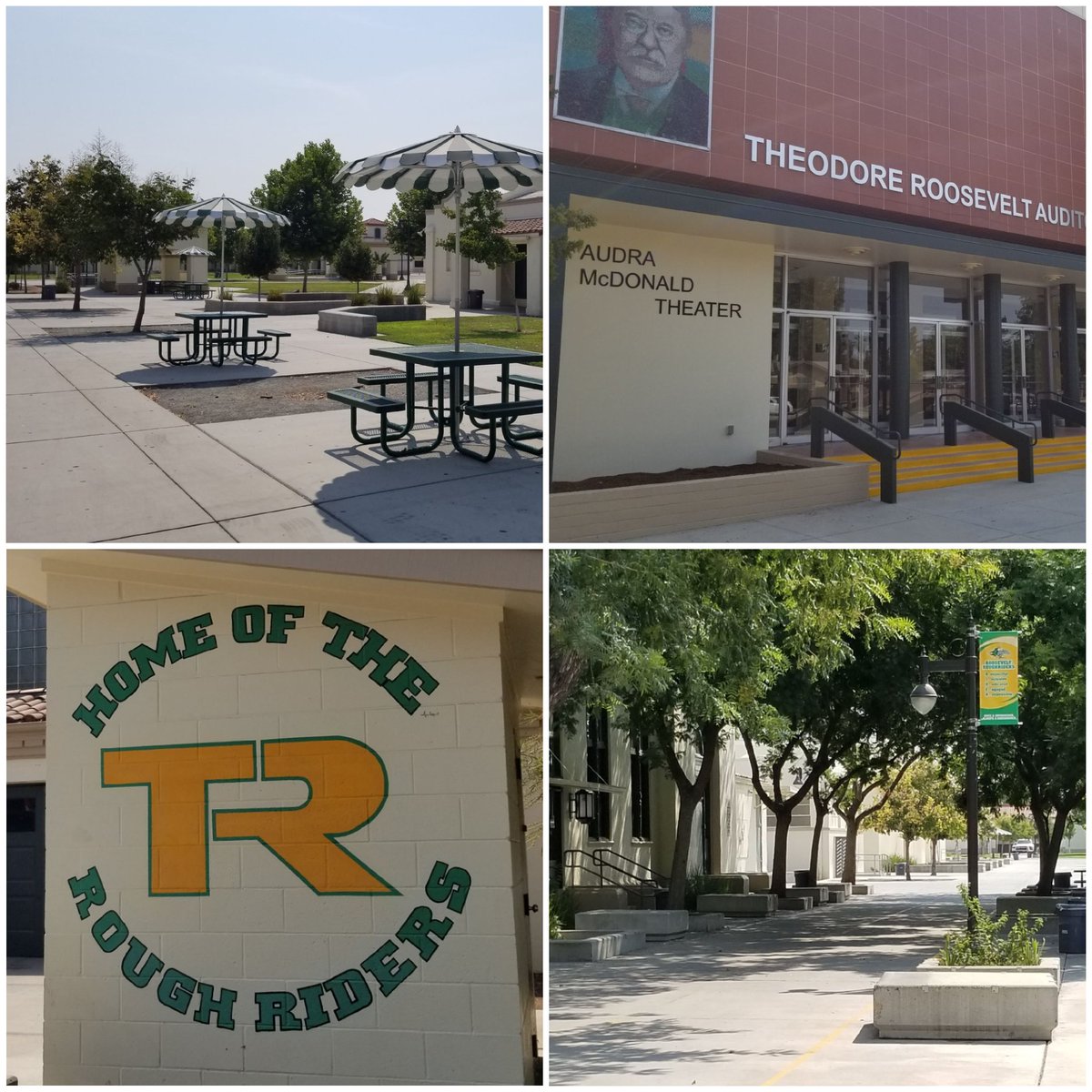 Michael Allen tweet media