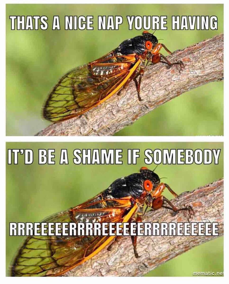 Blayne (@blayne) on Twitter photo 