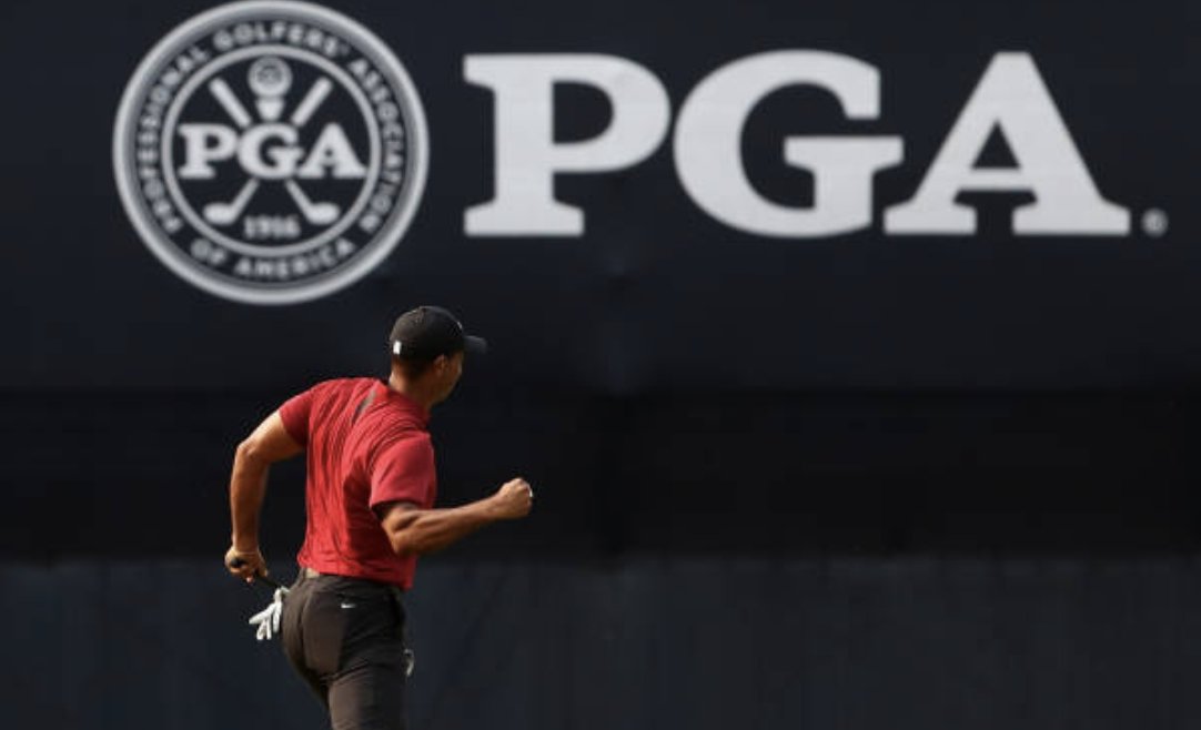 Tiger Tracker tweet media