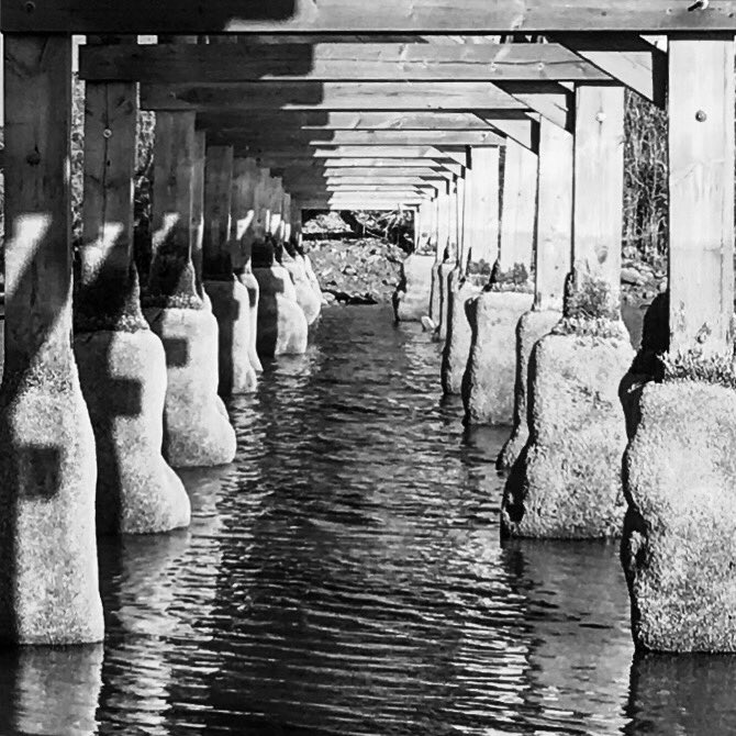 lightningraph's tweet photo. Feedback #lightningraph #bnw #blackandwhitechallenge #blackandwhite #photography #fotografia https://t.co/EopSlIophk
