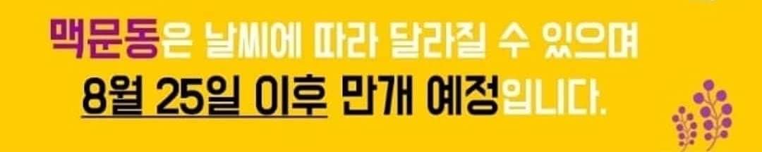 한여름의 #핫플레이스 #성밖숲
다양한 문화예술공연 즐기러 #성주군  성밖숲으로 놀러오셔요!!