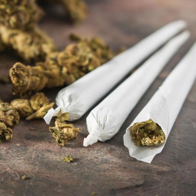 Spoil me with WEED by @Kovah_Haze https://t.co/dKbFu4Kr4V Find it on #ManyVids! https://t.co/NgIsnYN<a class="tags" href="/tag/kovah_haze">@kovah_haze</a><a href="/tag/manyvids"class="tags"><span>#manyvids</span></a>