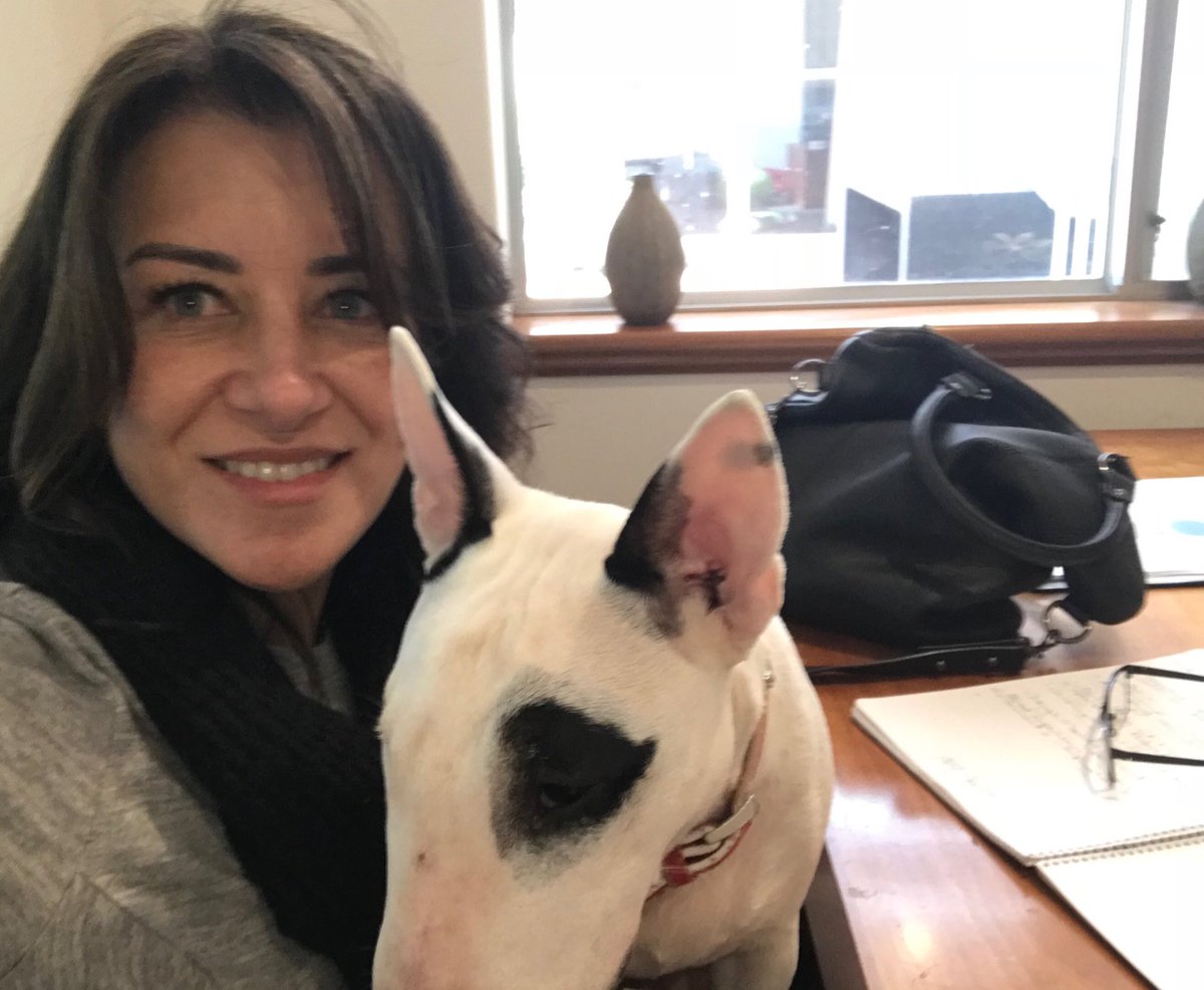 ljwconsulting's tweet photo. The flexibility of working from home can be great - but it has to be compatible with getting stuff done. Gracie insisting on being on my knee isn’t helping today. #work #LeadershipTalks #Coach #AusSport #employeeexperience #Aushappyworkplace #Captain #Teamculture #Trust #AusCEO https://t.co/ZTFJO3icP2