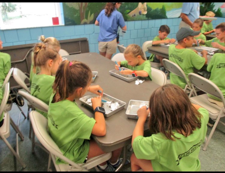 evettecano_'s tweet photo. Ella had a great time @ColumbusZoo !!! She was a #penguin this year. #learning #zoocamp #futurezookeeper #weloveourzoo #ColumbusZoo https://t.co/83xrOBH2LV