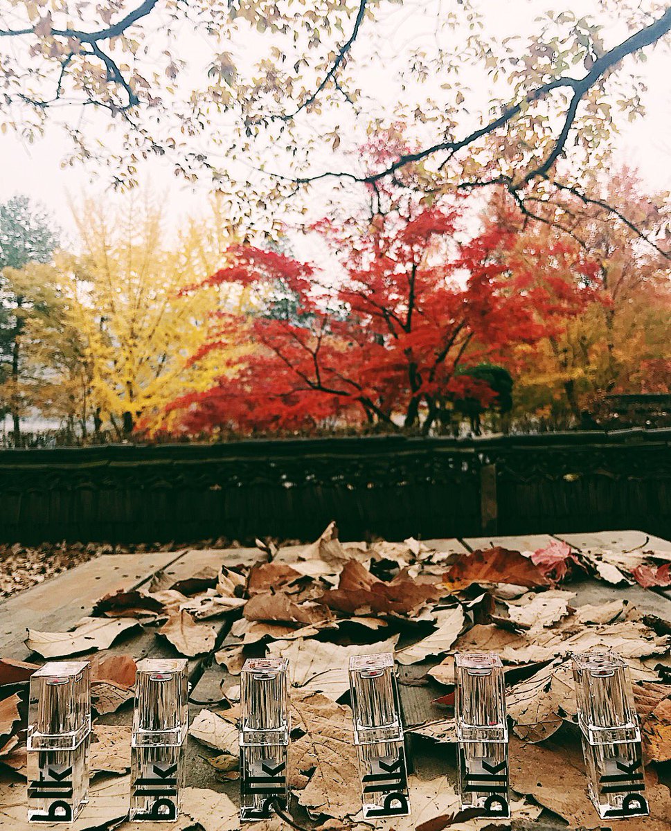 annecurtissmith's tweet image. Going through our @blkcosmeticsph #blktravels hashtag sa IG and found this beautiful gem. @glendadelapena taking not 1 but 6 of our lippies to one of my favourite places to visit during autumn, SoKor 🍂🍁 Keep the photos of you and your favourite @blkcosmeticsph coming!