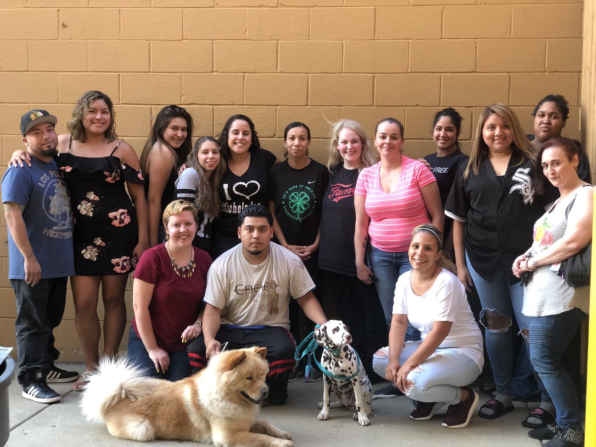 Brickyard Petsmart tweet media