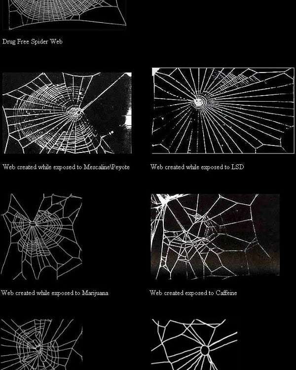 ScienceAlert on Twitter "Old but gold! This was the work of a German