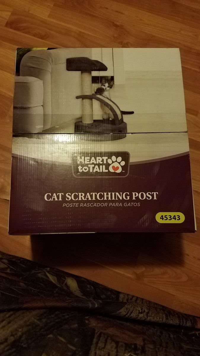 droopiesmom's tweet photo. @boojune1954 @jred578
Do you think my kitty will be spoiled? Hahahaha. I dont even have her yet and look what I bought her.
#imlookingforward to her https://t.co/4fuKwtZh43