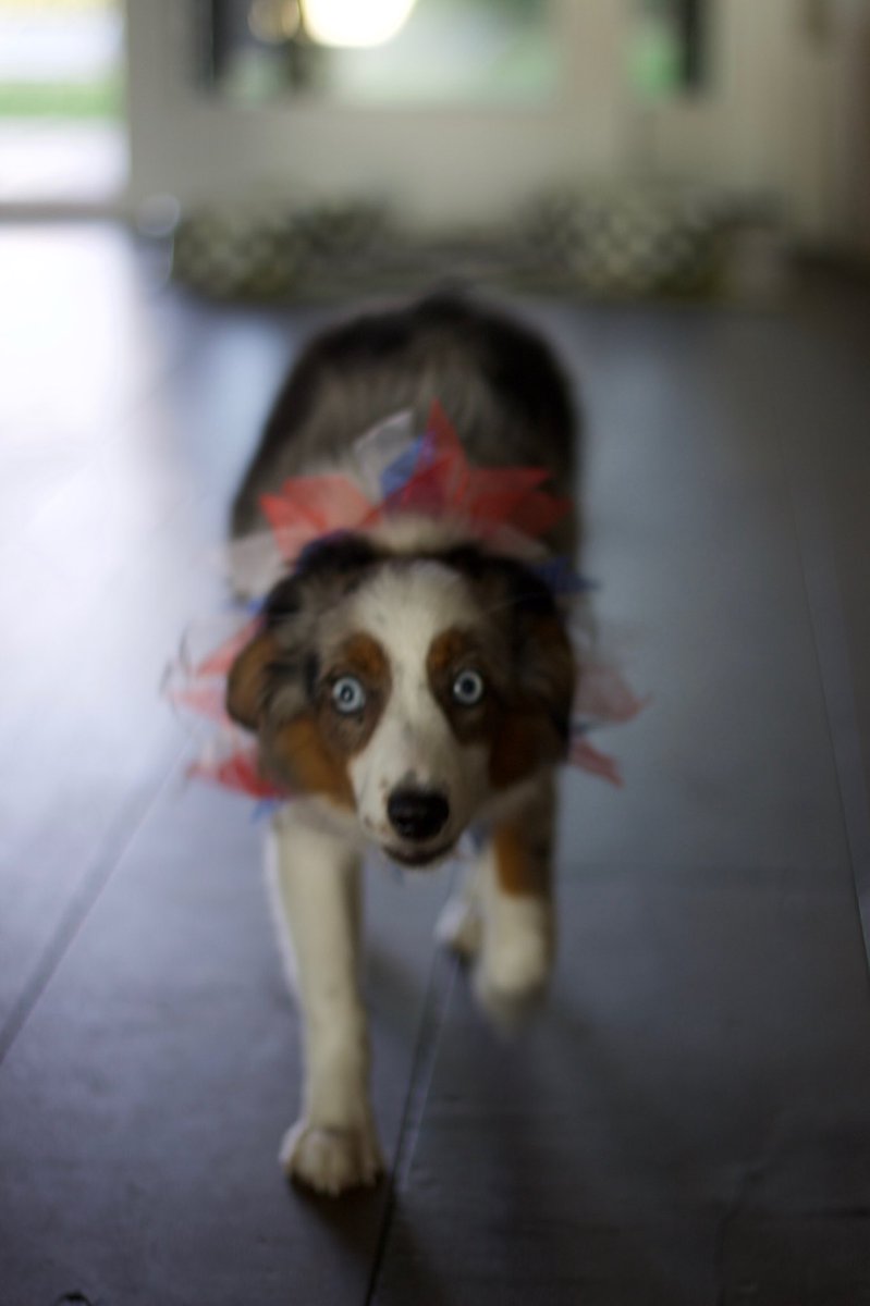 Mike DeCesare tweet media