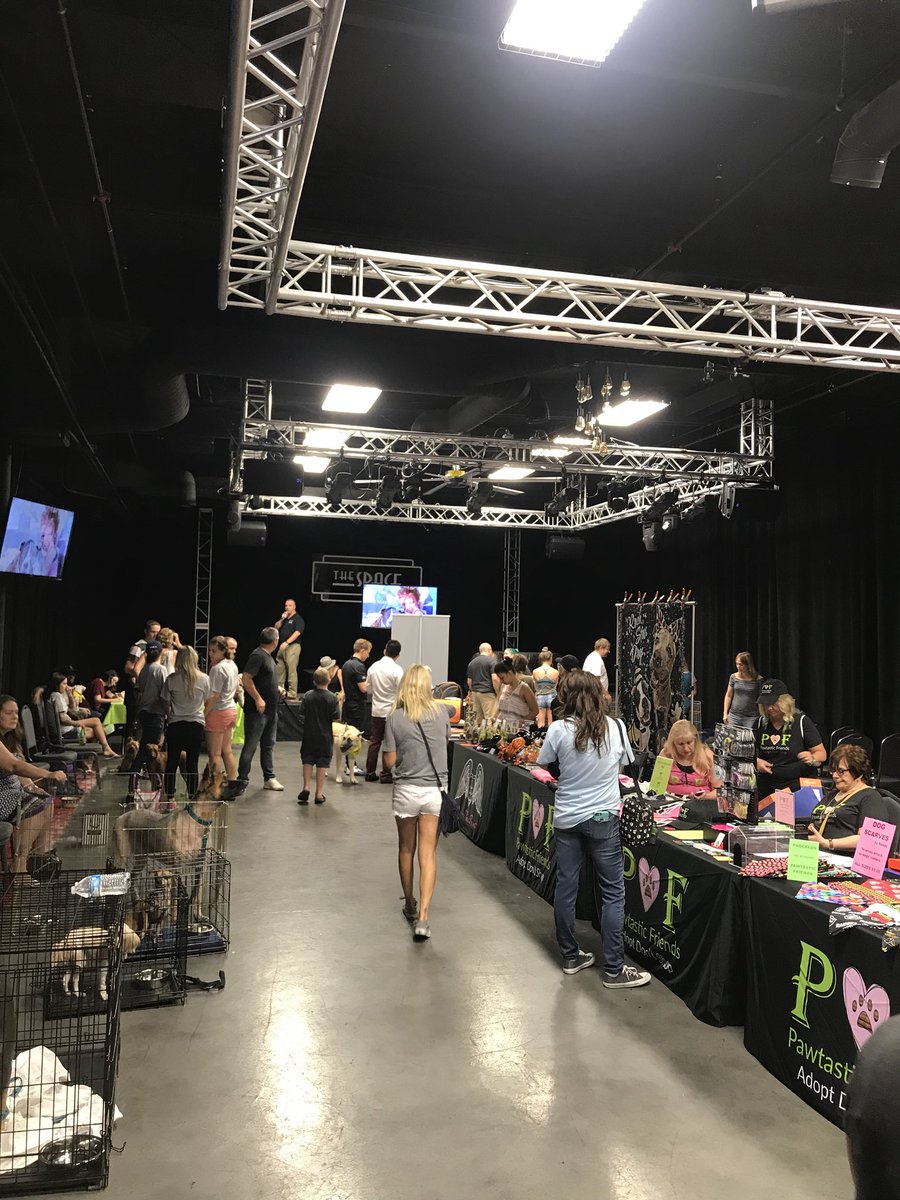 We had such an amazing time at <a href="/PawtasticF/">PawtasticFriends</a> event today! Thank you for having us we had so much fun 💜🐾