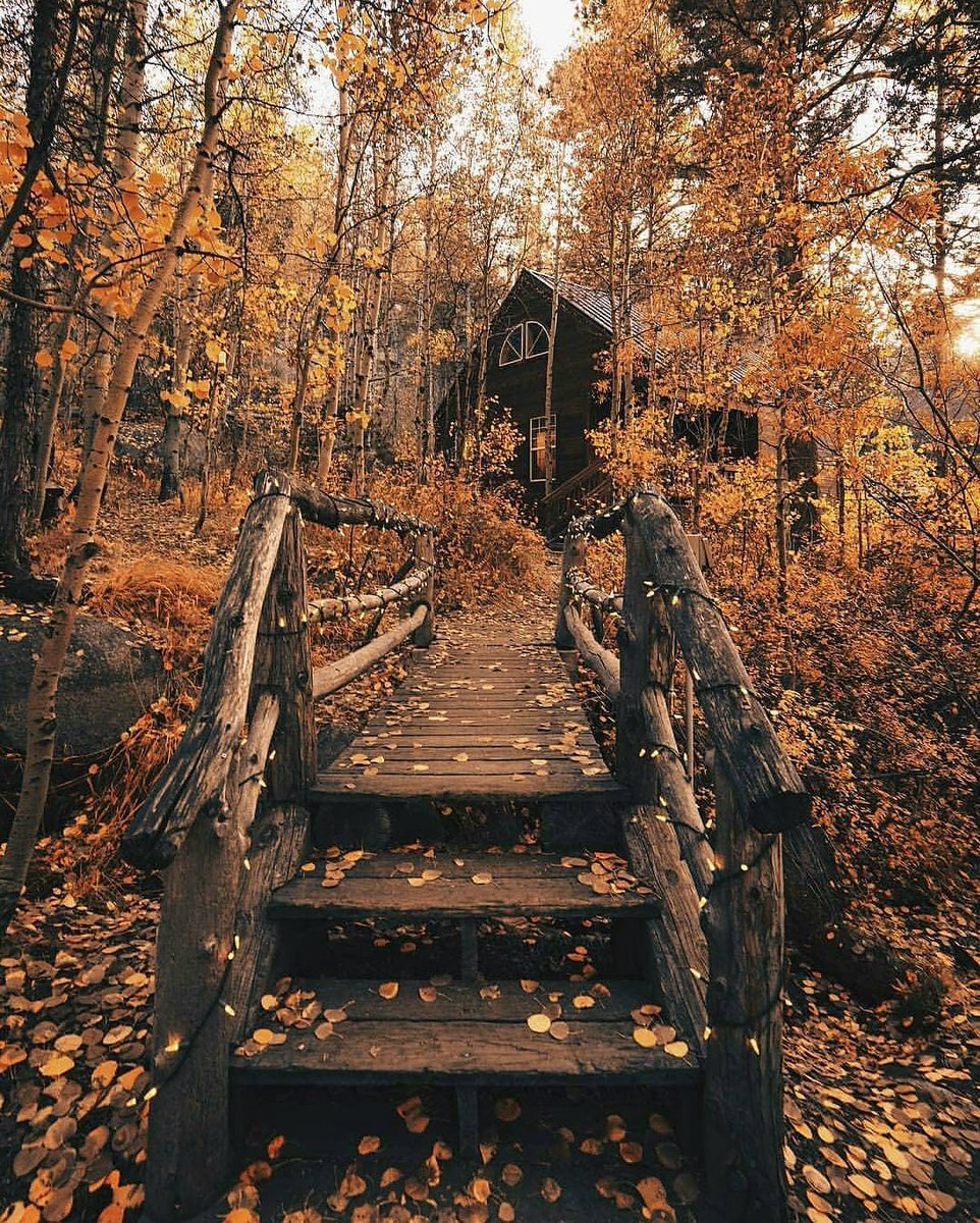 Heading towards autumn, what do you think 😍