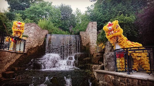 ChungWahKungFu's tweet photo. Didn't have an extra body to take pics during our lion dance for the wedding client. But couldn't pass up the opportunity to take additional shots afterwards 🦁 #chungwahkungfu #liondance #ancastermill #wedding #toronto #the6ix #markham #mississauga … https://t.co/2CtP8WrZRL https://t.co/XAIF35l2aQ