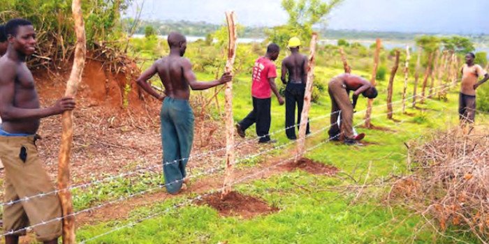 ManstratAIS's tweet photo. LATEST: Reducing poverty by developing #smallholder #livestock farmers. Read more...

https://t.co/p8wSZ4tYFn https://t.co/gw3IEb1zC1