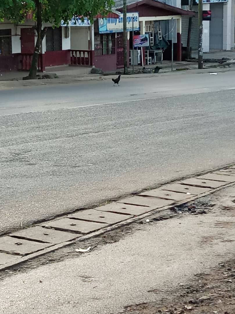 MimiMefoInfo's tweet photo. Buea, Limbe in pictures!
Ghost town intensifies with businesses, banks shut down
Drivers and car owners in Buea have parked their vehicles and are indoors. Movement is paralysed
A similar atmosphere reigns in neighbouring Mutengene,Tiko,Limbe, Kumba and other parts of SW and NW https://t.co/XIlybeULX8