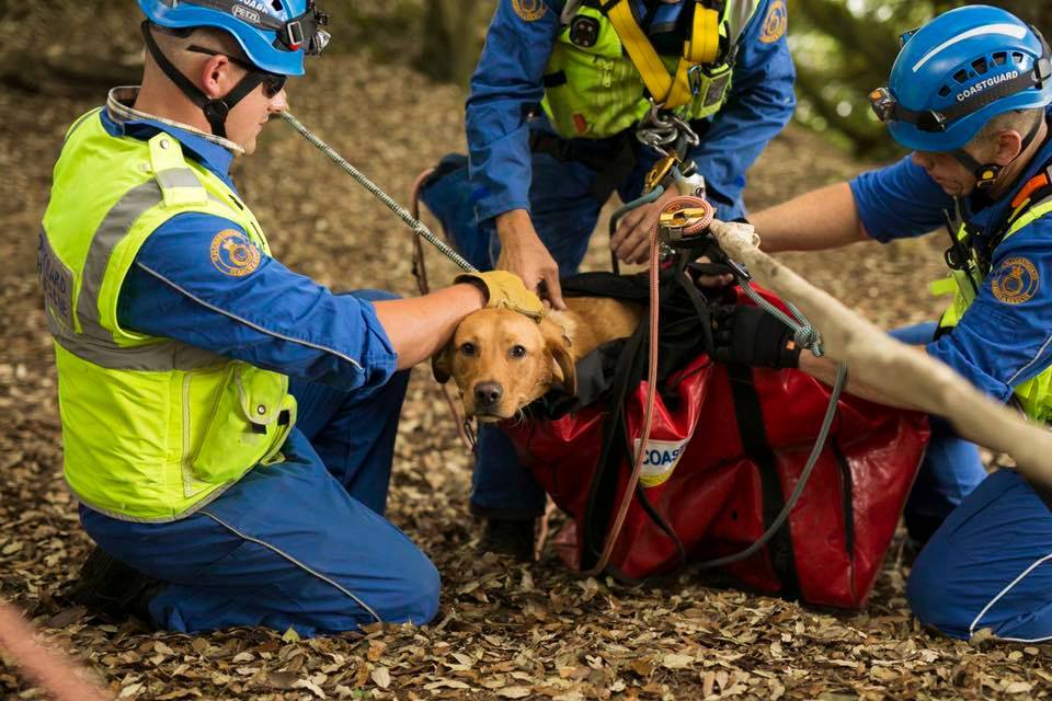 FalmouthExeter's tweet photo. Read about two of our @FalUoEIT team who are also volunteer coastguards @FalmouthUni @UniExeCornwall @FXUtweet @MCA_media #volunteer #RESCUE #thankslads https://t.co/SnYgT0VQVG https://t.co/aamo3rh0xe