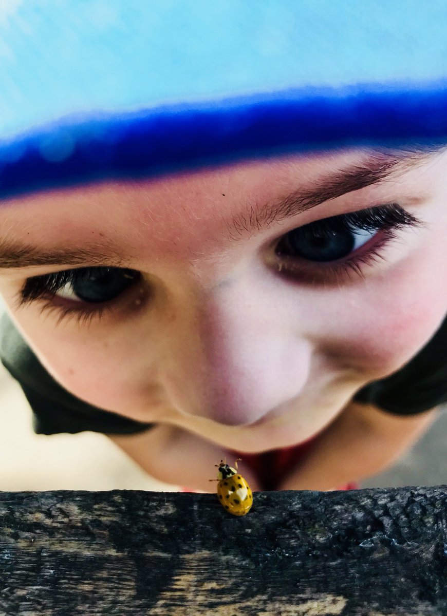 StreetsofBrum's tweet image. Something different from the family collection for this week’s @wextweets #WexMondays (portrait photo - click to expand) #APPicoftheweek #Sharemondays2018