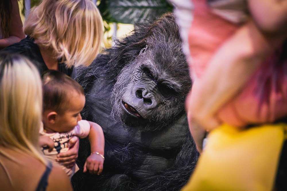 10associates's tweet photo. Great scenes down @XscapeMK as Glen the Gorilla explores his new territory for the summer. #SummerXscape #MakeGreatYourXscape Thanks to MK team for supporting our summer campaign ideas. #experiential #campaign https://t.co/YXLMydrgFG https://t.co/NhbGxzHkPX