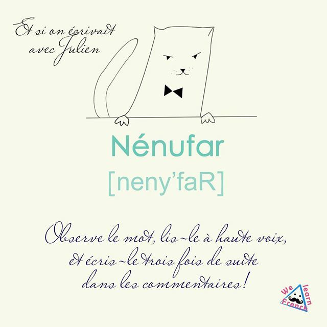 Welearn_French's tweet photo. #julienlechat
#nouvelleorthographe •••
#французский #fle #welearnfrench #learnfrenchordie #learnfrench
#французскийязык #learningfrench #frenchteacher #profdefrançais  #langblr #frenchlearning #учимфранцузский  #франция #frenchword #frenchlesson #уро… https://t.co/YyYY2C5jIw https://t.co/3G4CZ5Lkvz