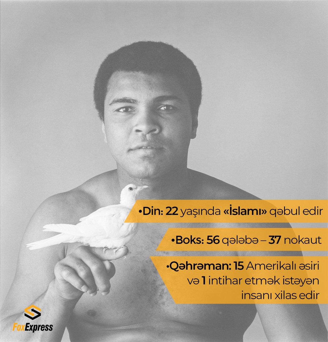 foxexpress_az's tweet photo. Kassius Marsellus Kley sonrakı adı Məhəmməd Əli
1967-ci ildə ABŞ ordusuna Vietnama qarşı döyüşməyə çağrılır. Əli bundan imtina edərək deyir:Onlar məni heç vaxt təhqiredici formada "qara zənci" çağırmayıblar. Bu ədalətsiz bir müharibədir"#FoxExpress #MaraqliMelumatlar #MuhammadAli https://t.co/qSsZg0HAC8