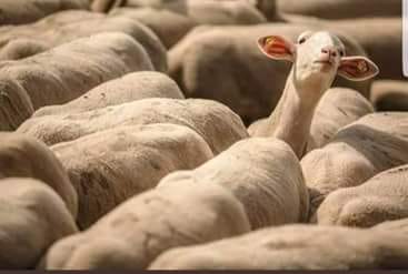 Move makers klass AT tweet media