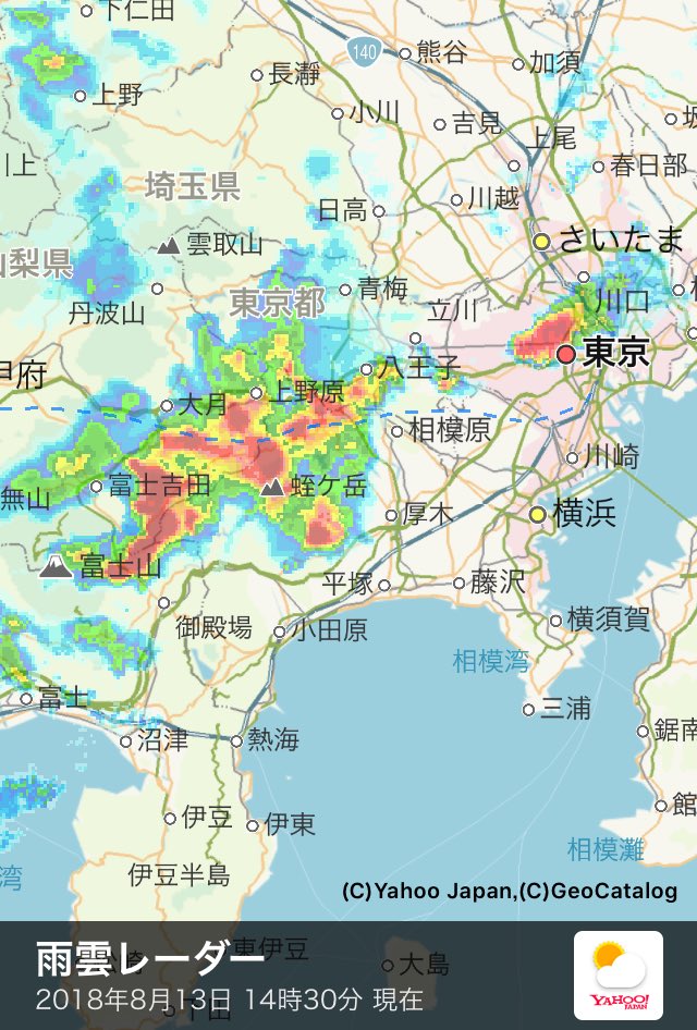 A1理論はミニマリスト Auf Twitter 天気予報で一番信用出来るのは 雨雲レーダー 今 新宿や中野にいる雨雲は強烈な通り雨っぽいけど その後 今 大月あたりにいるボスの雨雲が来そうだから 今の雨雲が通り過ぎたら外出が必要なタスクはすべて早めに片付けた