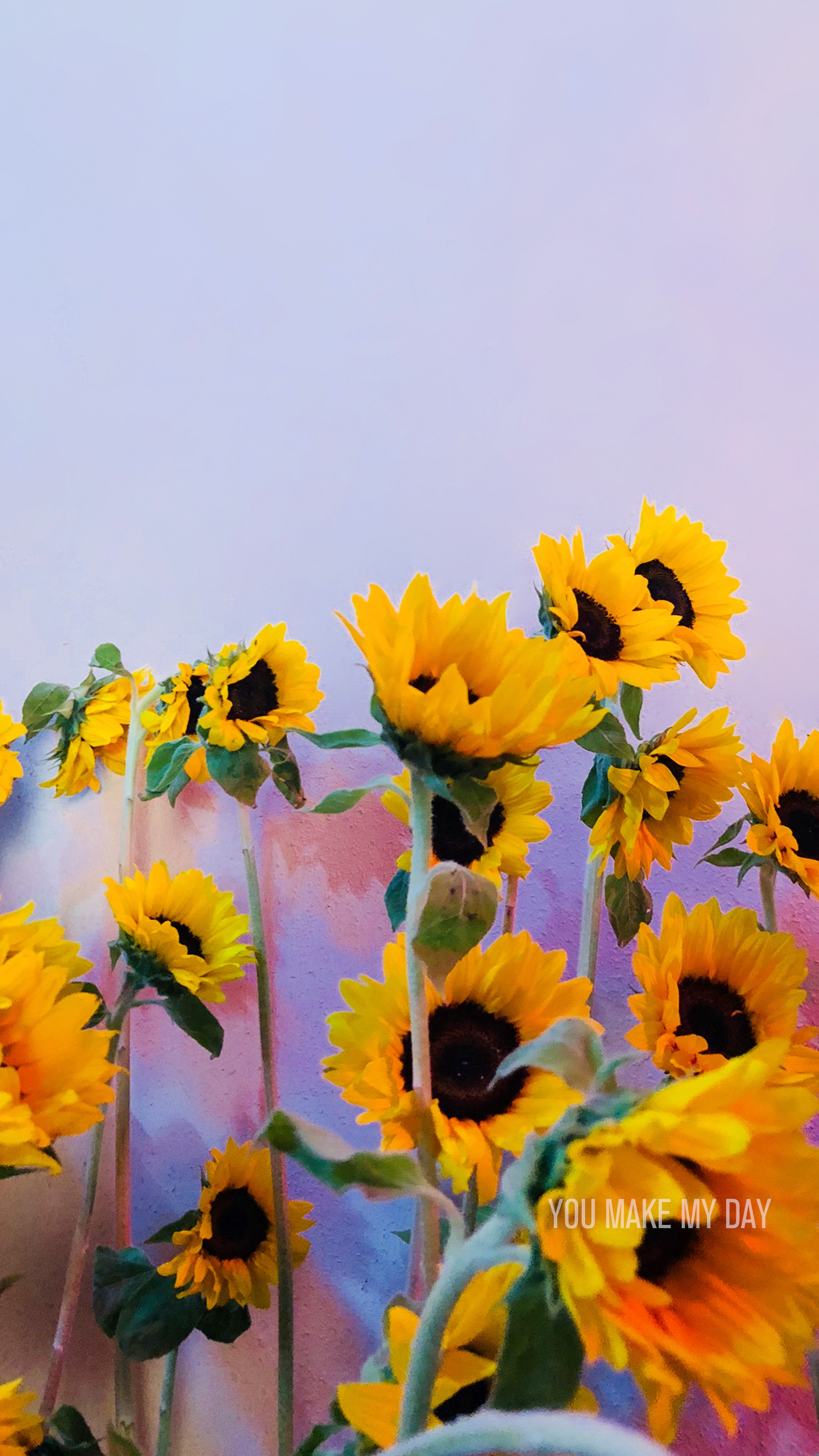 DkdS1XXUUAEuwpG?format=jpg&name=4096x409