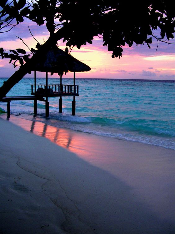 soniacolpo's tweet photo. @mrtom101 @HDrelaxation4U @vixentink_tracy @Keith1Chill @zepiron @Ghiovanela @GucciGuccin @BrendaFlournoy1 @NajdeckiArtur @arasaucedo24 @Joee_Blackkk @se_ablue @SurfersRoom @henrirouen @DonnaFins @klem7165 @AnnaCAAlves17 ππππππππππππππ
#DearTommy #GoodMorning #AllGreatFriends #DailyMotivation #HappyNewWeek #ThankYouAlways #Following #Retwitting #GoodVibesOnly #Aloha #ToJoe #ZEP #Keith #SeaBleue #HD
#PlaceToGo π²π»#Beautifull #Sunrise #Beach π²π»#Maldives https://t.co/5W1yryFN5P