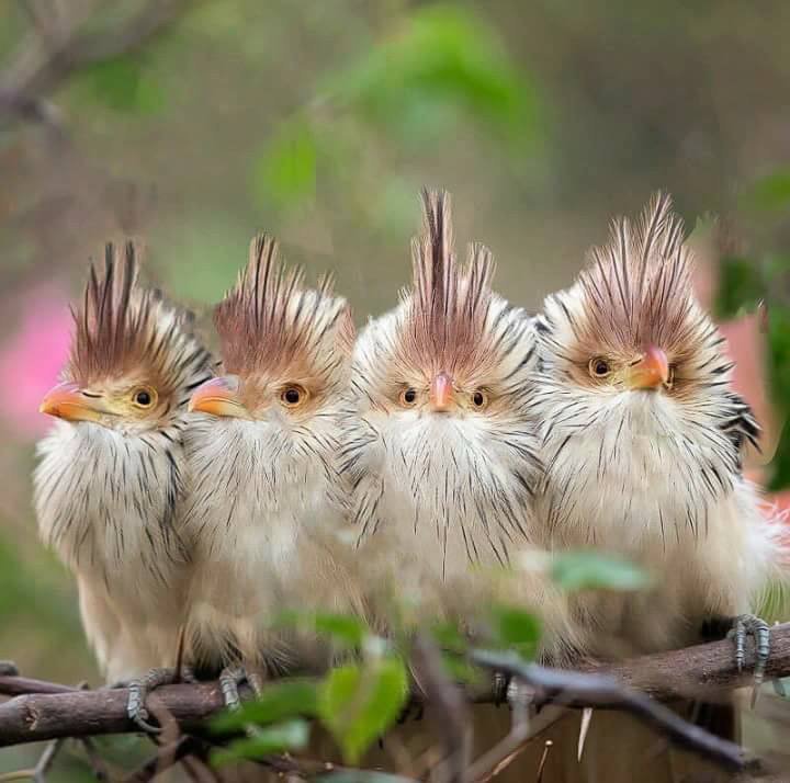 Domareva_VL's tweet image. Доброго понедельника, друзья!