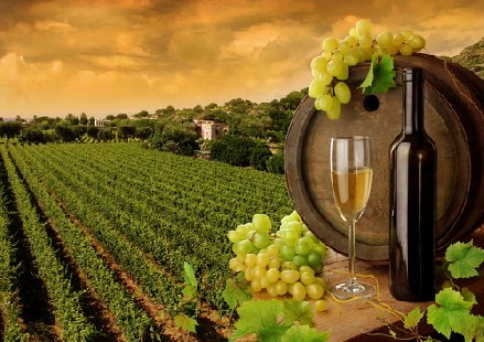 WalkFrodo's tweet photo. Bulgarians are proud of their ancient winemaking tradition, and Bulgarian cuisine, with its Turkish, Greek and Slavic influences, provides the perfect accompaniment to a bottle of local wine. The restaurant Pavaj is hugely popular local favorite.
#Bulgaria #restaurant #walkfrodo https://t.co/YsZQLKq0Y2